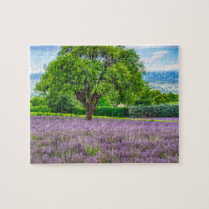 Puzzle Árbol en el campo Lavender, Francia
