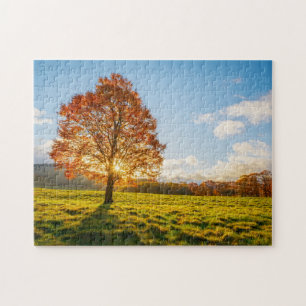 Puzzle Árbol en el fuego