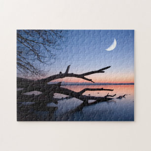 Puzzle Árbol en el lago Starnberg Muensing Baviera Alem