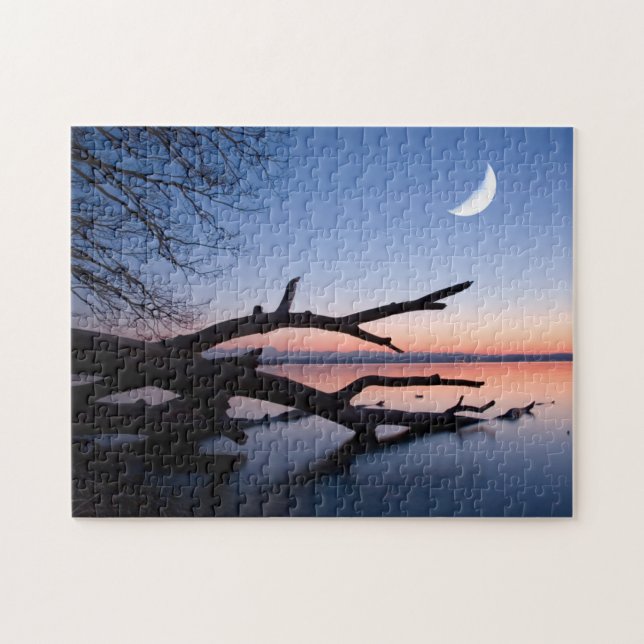 Puzzle Árbol en el lago Starnberg | Muensing Baviera Alem (Horizontal)