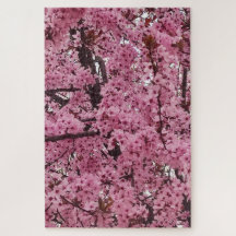 Árbol floral rosa de primavera