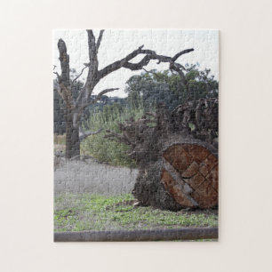 Puzzle Árbol muerto
