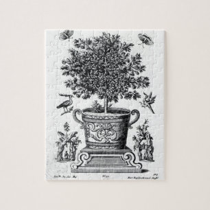 Puzzle Árbol ornamental en una urna en una pequeña etap