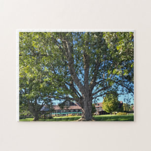 Puzzle Árbol paraguas