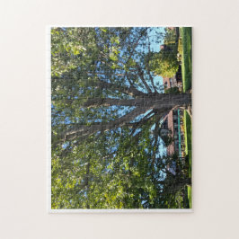 Puzzle Árbol paraguas
