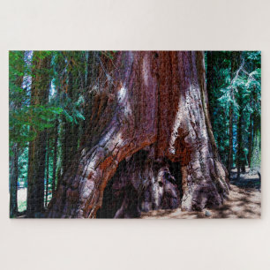Puzzle Árbol Secuoya Parque Nacional Secuoya California. 
