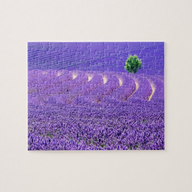 Puzzle Árbol solitario en el campo Lavender, Francia (Horizontal)