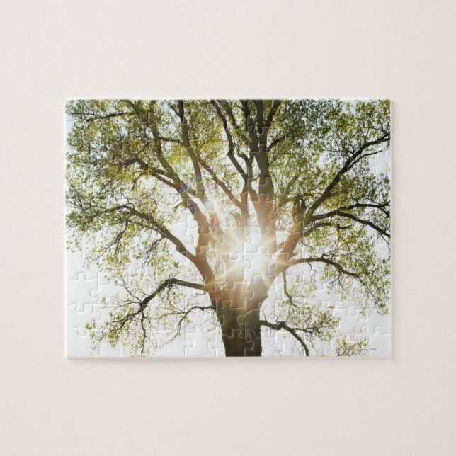 Puzzle Árbol Sunlit (Horizontal)