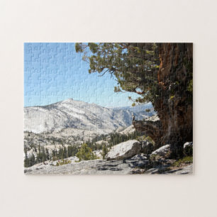Puzzle Árbol viejo en el parque nacional de Yosemite