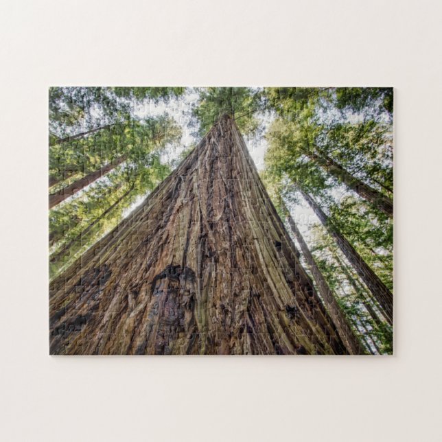 Puzzle Arboleda Roosevelt (Horizontal)