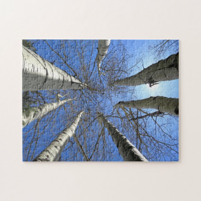 Puzzle Árboles Abedul Naturaleza Bosque. (Horizontal)