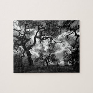 Puzzle Árboles blancos y negros del misterio