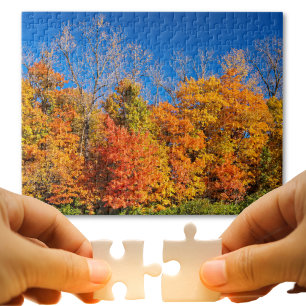 Puzzle Árboles caídos y foto natural del cielo azul
