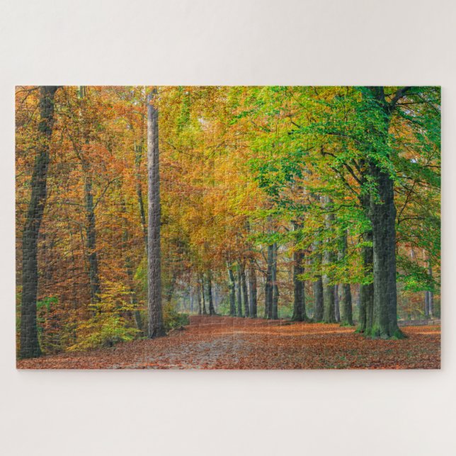 Puzzle Árboles con follaje del otoño en un bosque (Horizontal)