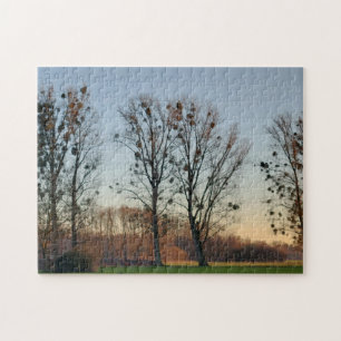 Puzzle Árboles con mistletoe contra cielo despejado