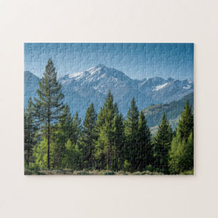 Puzzle Árboles Coníferos con Fondo de Montaña
