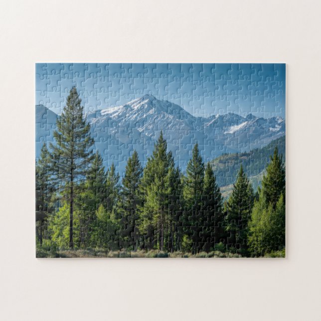 Puzzle Árboles Coníferos con Fondo de Montaña (Horizontal)