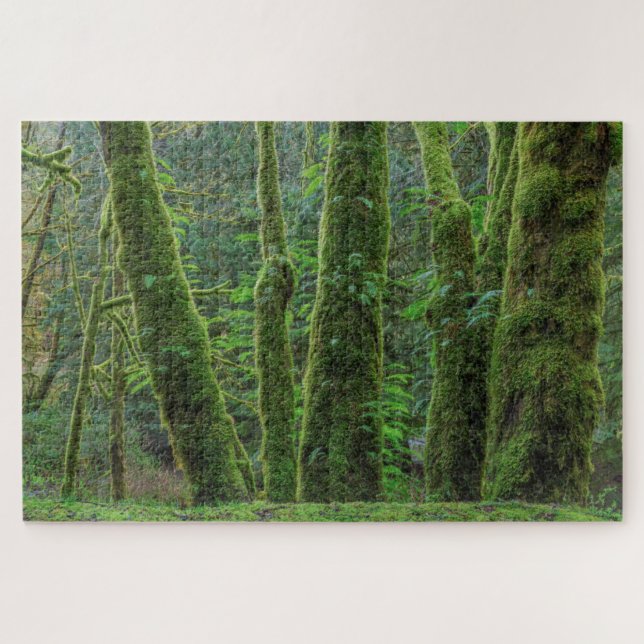 Puzzle Árboles de arce de hoja grande y helados | Estado  (Horizontal)