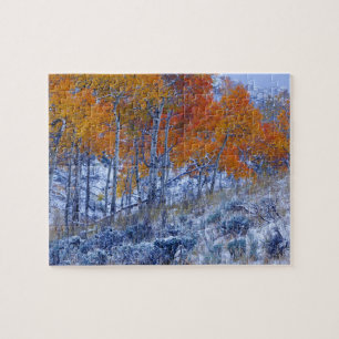 Puzzle Árboles de Aspen en colores de otoño, montañas Big