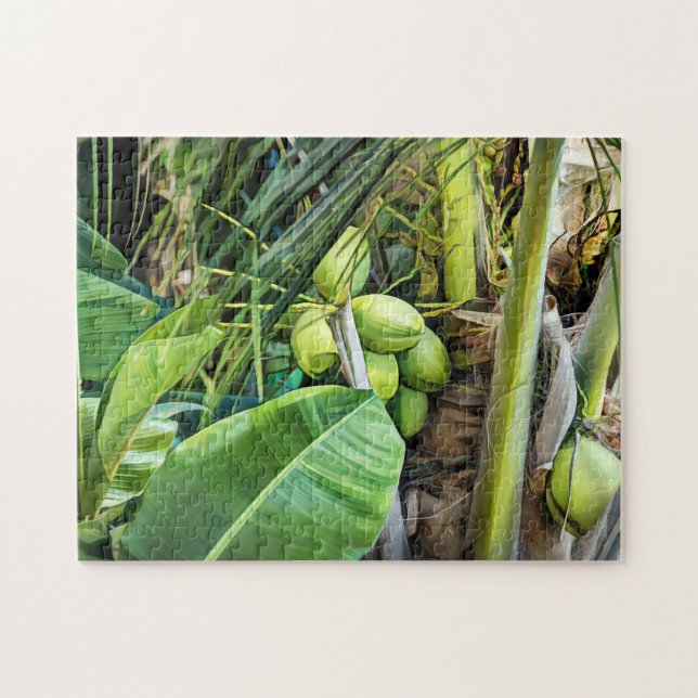 Puzzle Árboles de coco Islas Vírgenes Tropicales Caribe (Horizontal)
