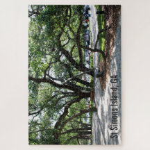 Árboles de encino vivos de la isla de St Simons