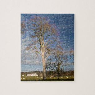 Puzzle Árboles de haya irlandeses