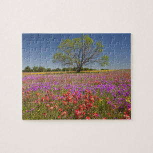 Puzzle Árboles de mezquite de primavera creciendo en flor