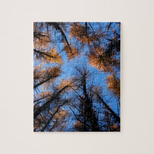 Puzzle Árboles de otoño al atardecer