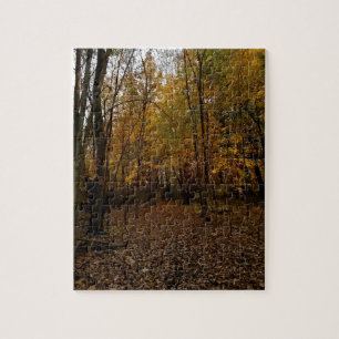 Puzzle Árboles de otoño al atardecer Taylor Michigan Puzz