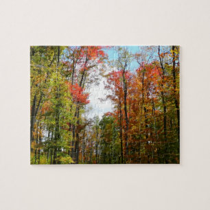 Puzzle Árboles de otoño y cielo azul Fotografía de la nat