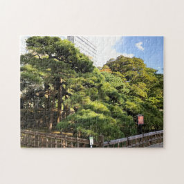 Puzzle Árboles de pino de 300 años