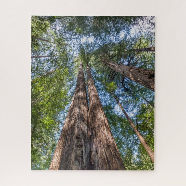 Puzzle Árboles de secuoya | Condado de Marin, California (Vertical)