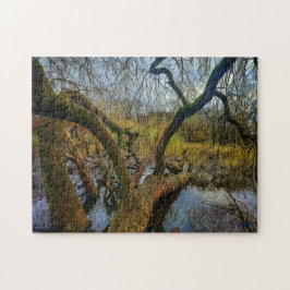 Puzzle “Árboles del agua – Parque en Ámsterdam”