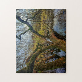 Puzzle “Árboles del agua – Parque en Ámsterdam”