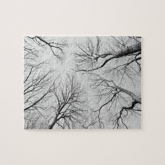 Puzzle Árboles deshojados en la madera de Thiepval (Horizontal)