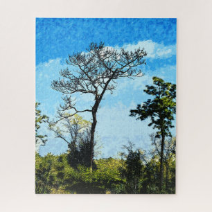 Puzzle Árboles En Julington-Durbin Preserve Florida