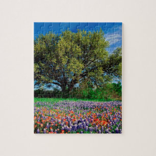 Puzzle Árboles Live Oak entre los Bluebonnets de Tejas
