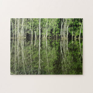 Puzzle Árboles reflexionando sobre el río Misisipi