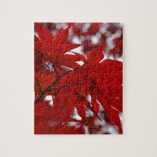 Puzzle Arce Japonés
