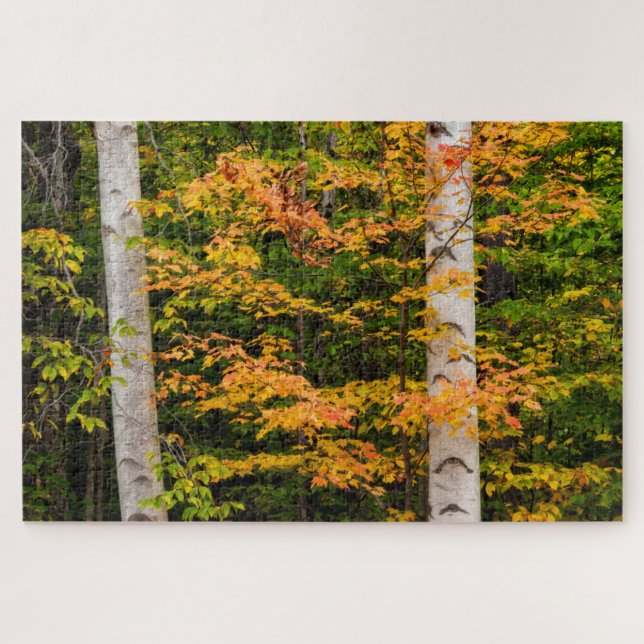 Puzzle Arce y abedul blanco | Montañas Blancas, NH (Horizontal)