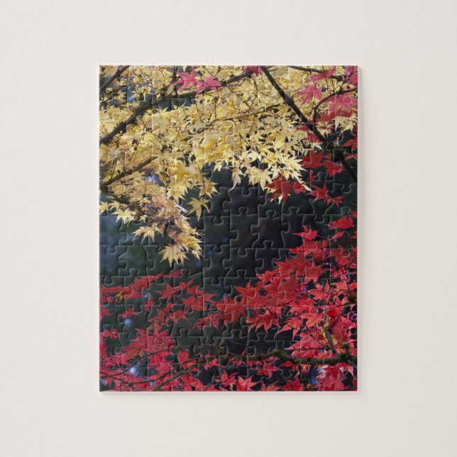 Puzzle Arces en color de otoño (Vertical)