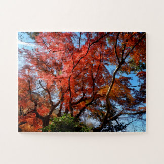 Puzzle Arces Japoneses
