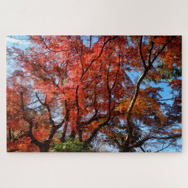 Puzzle Arces Japoneses (Horizontal)