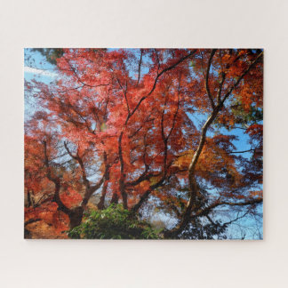 Puzzle Arces Japoneses