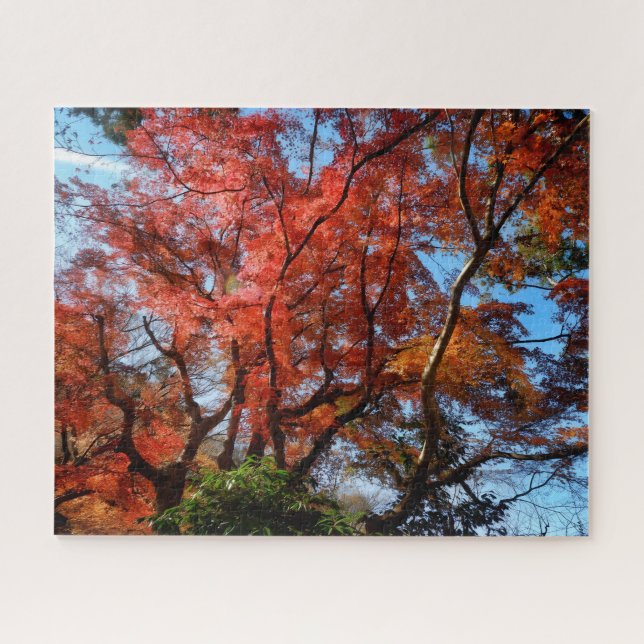 Puzzle Arces Japoneses (Horizontal)