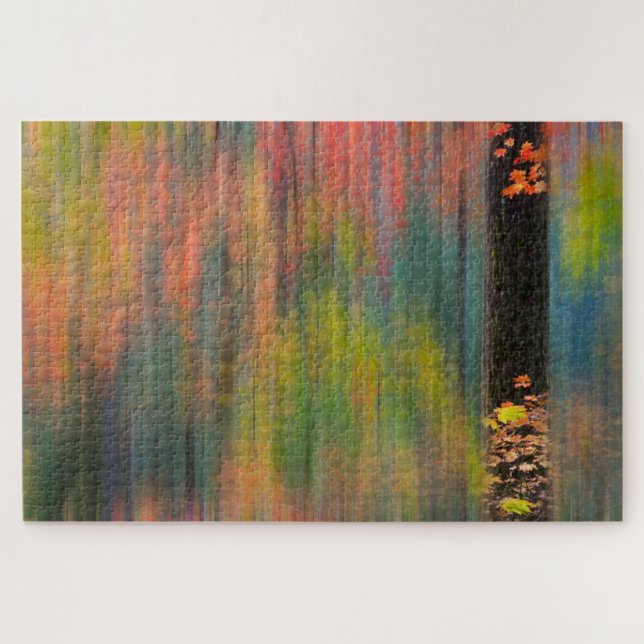 Puzzle Arces | Parque Estatal Silver Falls (Horizontal)