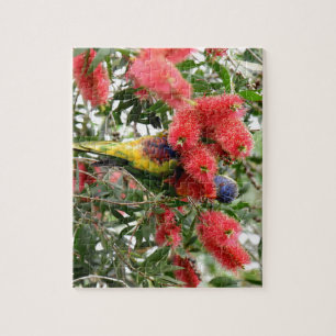 PUZZLE ARCO IRIS LORIKEET QUEENSLAND RURAL AUSTRALIA