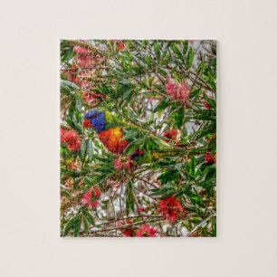PUZZLE ARCO IRIS LORIKEET QUEENSLAND RURAL AUSTRALIA