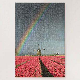 Puzzle Arco iris, tulipanes y molino de viento en Holanda