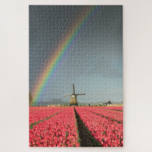Puzzle Arco iris, tulipanes y molino de viento en Holanda (Vertical)